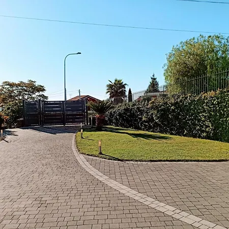 Orchidea Dell'etna Zafferana Etnea