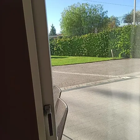 Orchidea Dell'etna Zafferana Etnea