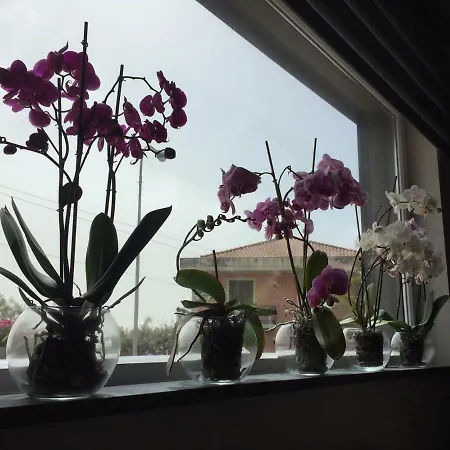 Orchidea Dell'etna Hébergement de vacances Zafferana Etnea