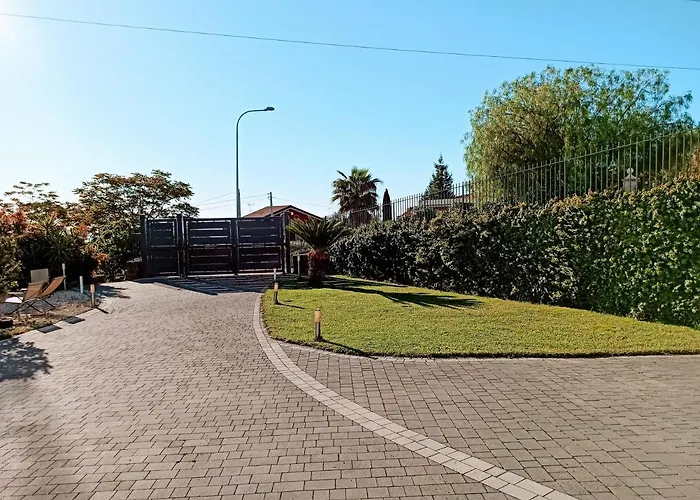 Orchidea Dell'etna Zafferana Etnea