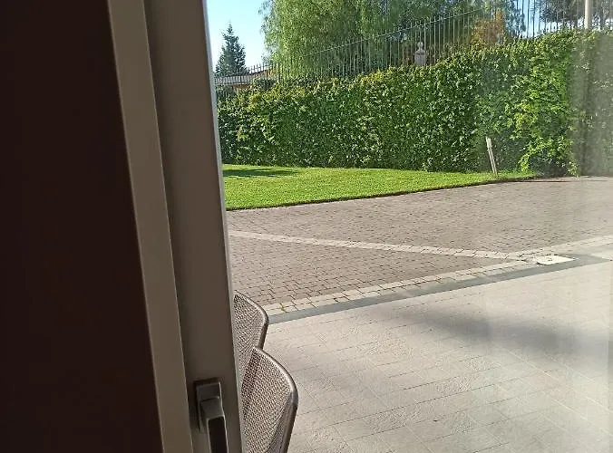 Orchidea Dell'etna Zafferana Etnea