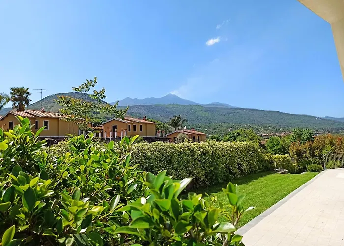 Orchidea Dell'etna Zafferana Etnea