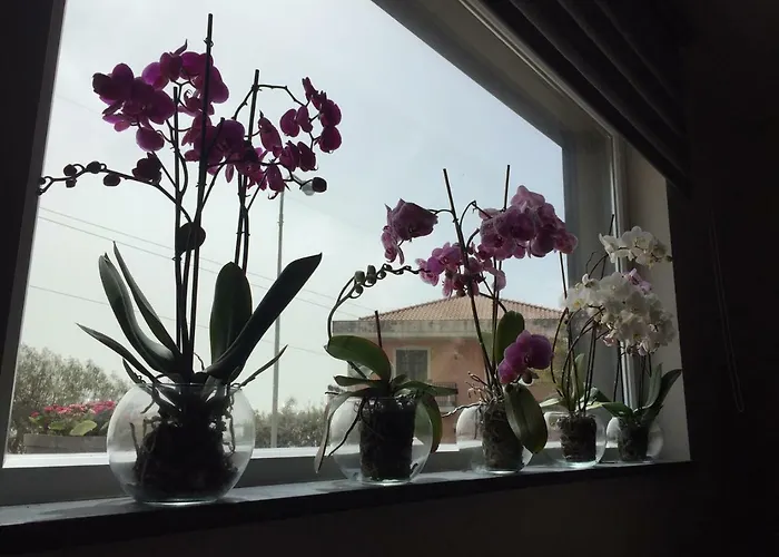 Orchidea Dell'etna Сasa de vacaciones Zafferana Etnea