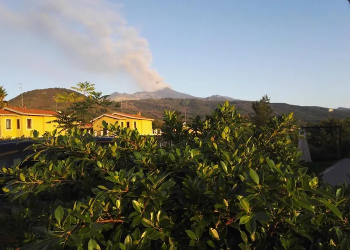 Orchidea Dell'etna Zafferana Etnea